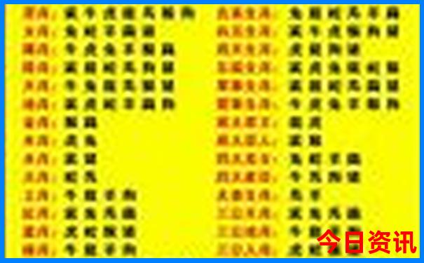 2025澳门六今晚开奖记录结果
