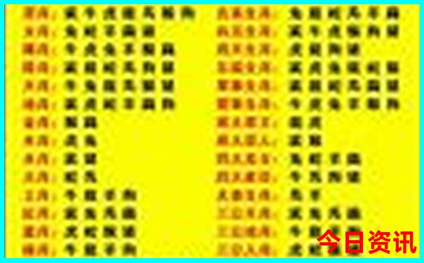 暑假带孩子去赶海最好的地方是哪
